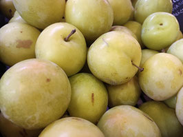 LF. CIRUELO AMARILLO