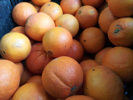 AP. NARANJA NAVELINA