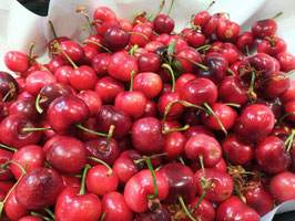 FJ. CEREZAS