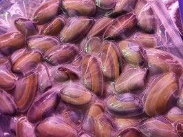 RB. TELLINAS (250 GR)