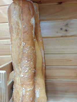RP. BARRA CHAPATA (300 GR)