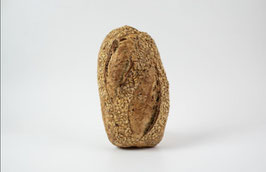 RP. PAN DE SEMILLAS