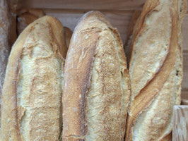 RP. BARRA (270 GR) "FORN ROSA ELVIRA"