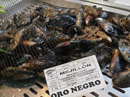 PI. MEJILLÓN