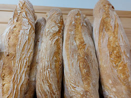 RP. BARRA (250 GR) "ELS IBARSOS"