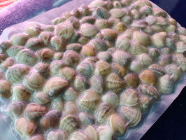 RB. CHILAS (500 GR)