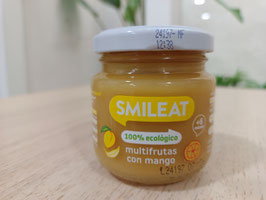 DN. TARRITO DE MULTIFRUTAS CON MANGO ECOLÓGICO (130 GR) "SMILEAT"
