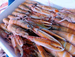 RB. CIGALAS