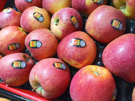 FJ. MANZANA ENVY