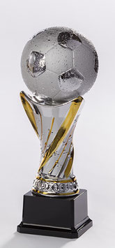 Fußball- Pokal