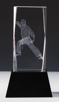 3D Glasblock "Karate"