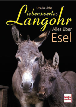 Liebenswertes Langohr