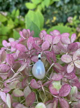 Pearlaura