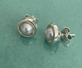 Grey pearl beauty