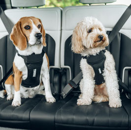 Cappy Hunde-Auto-Geschirr