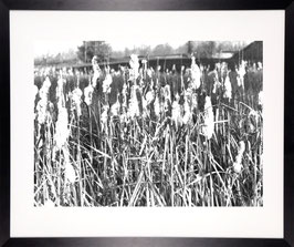 Venner Moor 030