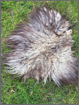 Drents Heideschaap bruin-grijs 55 x 60 cm