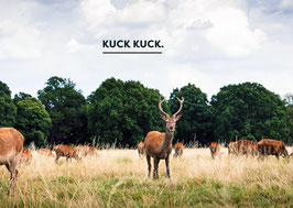 Postkarte „Kuck Kuck“