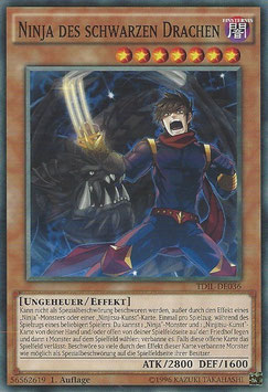 Ninja des schwarzen Drachen