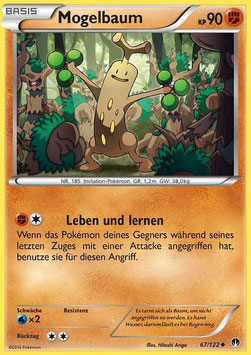 Mogelbaum