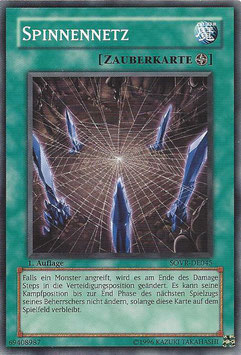 Spinnennetz