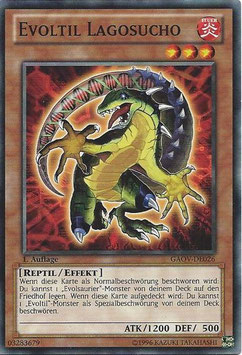 Evoltil Lagosucho