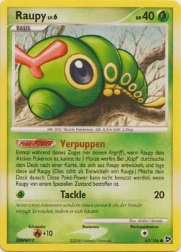 Raupy