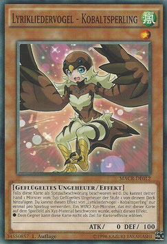 Lyrikliedervogel - Kobaltsperling