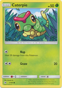 Caterpie