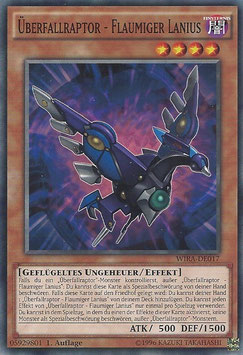 Überfallraptor - Flaumiger Lanius