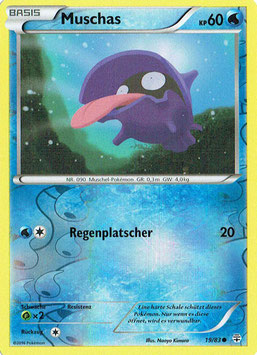 Muschas