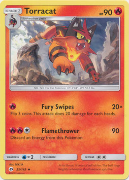Torracat
