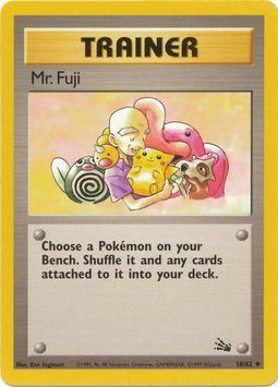 Mr. Fuji
