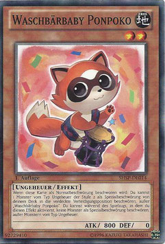 Waschbärbaby Ponpoko