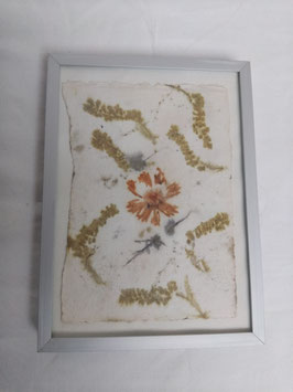 Ecoprint sur papier Coréopsis Printemps