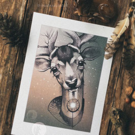 Print - Fallow Deer