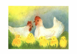 Postkarte: Hühner auf der Wiese