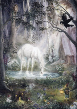 Midnight Forest - Mhairi Hellbrandt
