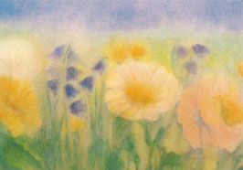 Postkarte: Wiesenblumen