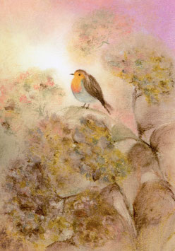 Postkarte: Robin auf Hortensie