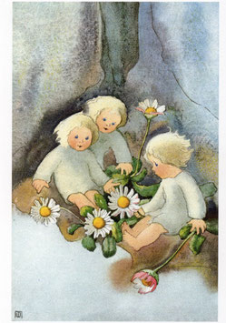 Postkarte: Gänseblümchen