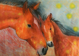 Postkarte: Mutterschaft - Pferde