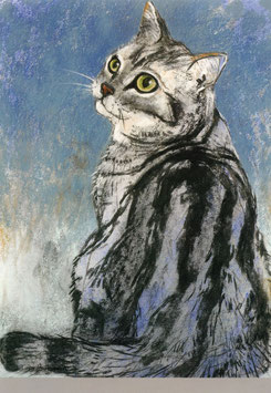 Postkarte: Sitzende Katze