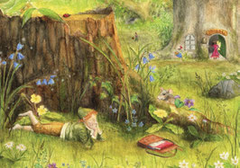 Spring in the forest - Mhairi Hellbrandt