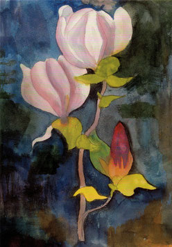 Postkarte: Magnolienblüte - Hermann Hesse 1928