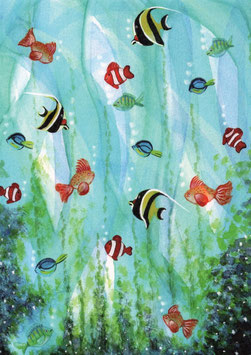Fish - Bijde Hansje