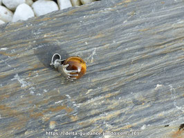 Pendentif oeil du tigre