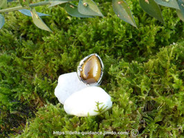 Bague oeil du tigre