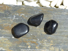 Pierre roulée Shungite