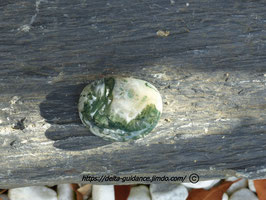 pierre roulée agate mousse